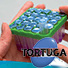 Flyer Tortuga para Delvotest - Teste da Qualidade do Leite img